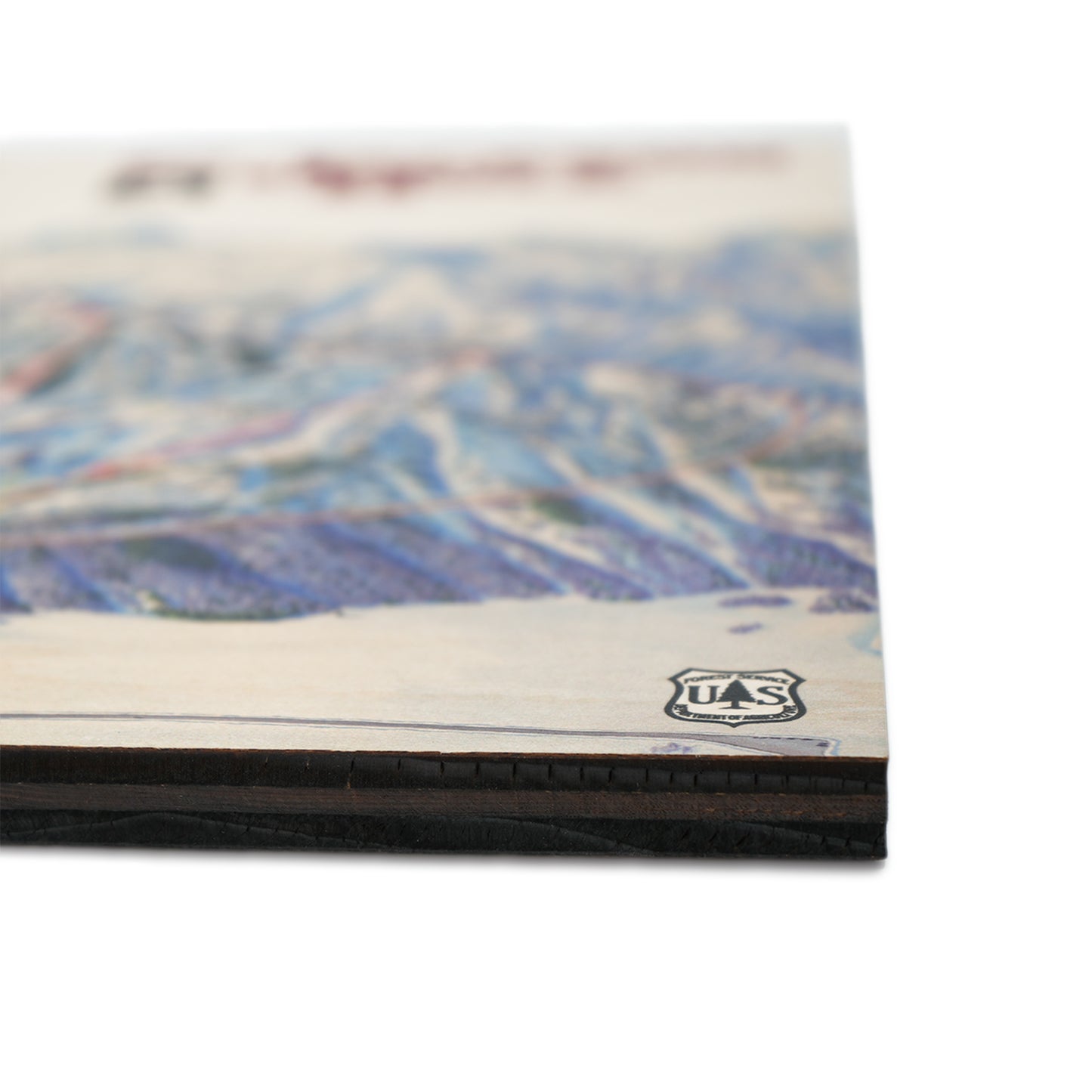 Wooden Trail Map 12X16