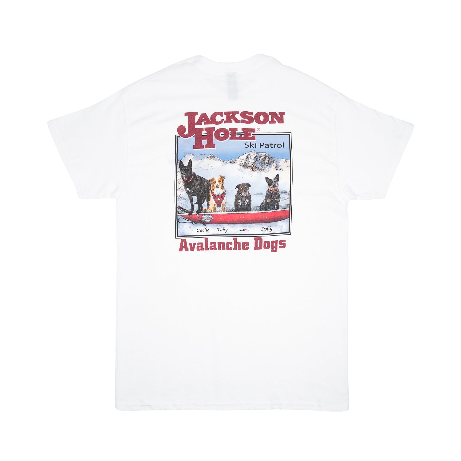 Avy Dog T-Shirt Short Sleeve – Jackson Hole Mtn Resort
