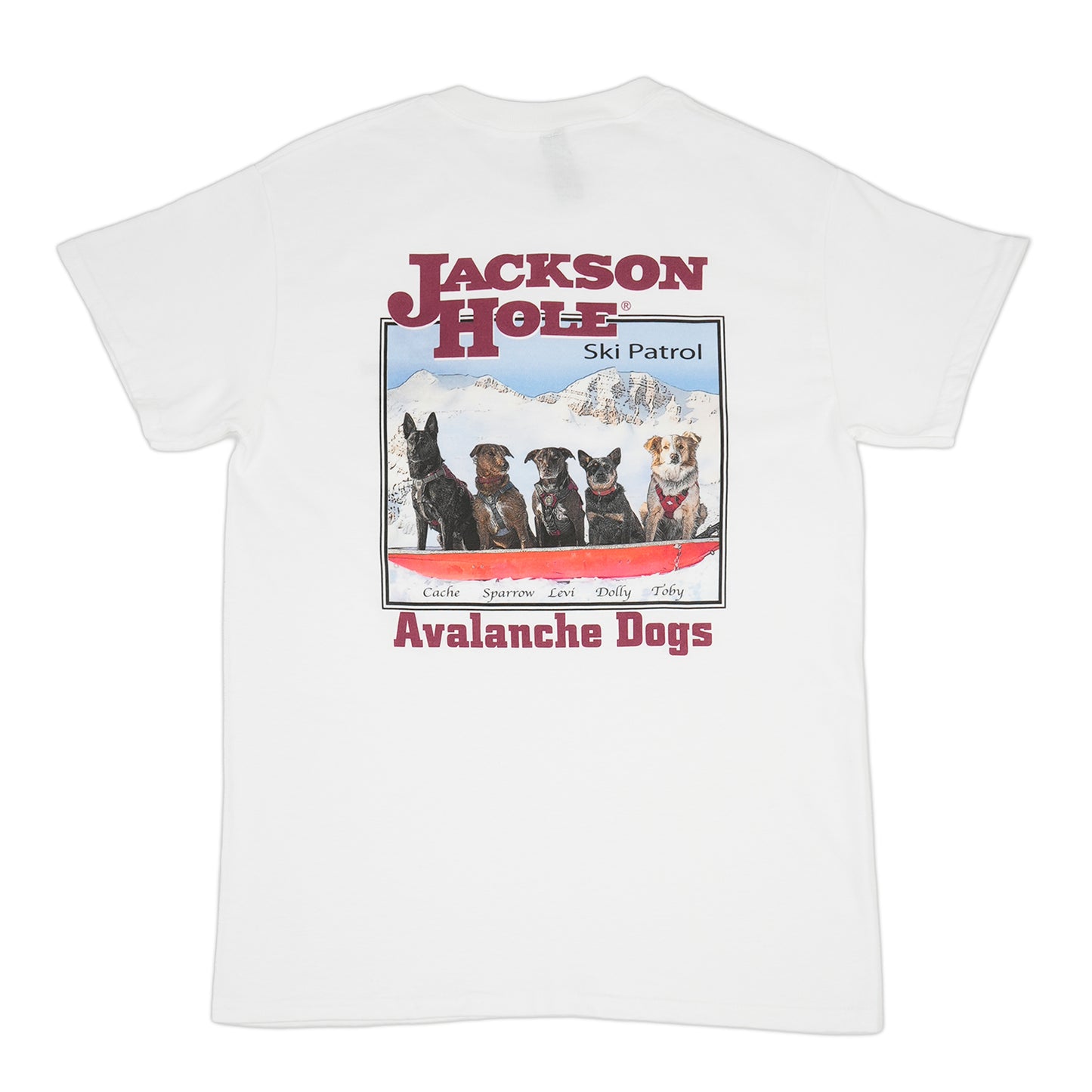 Avy Dog T-Shirt Short Sleeve