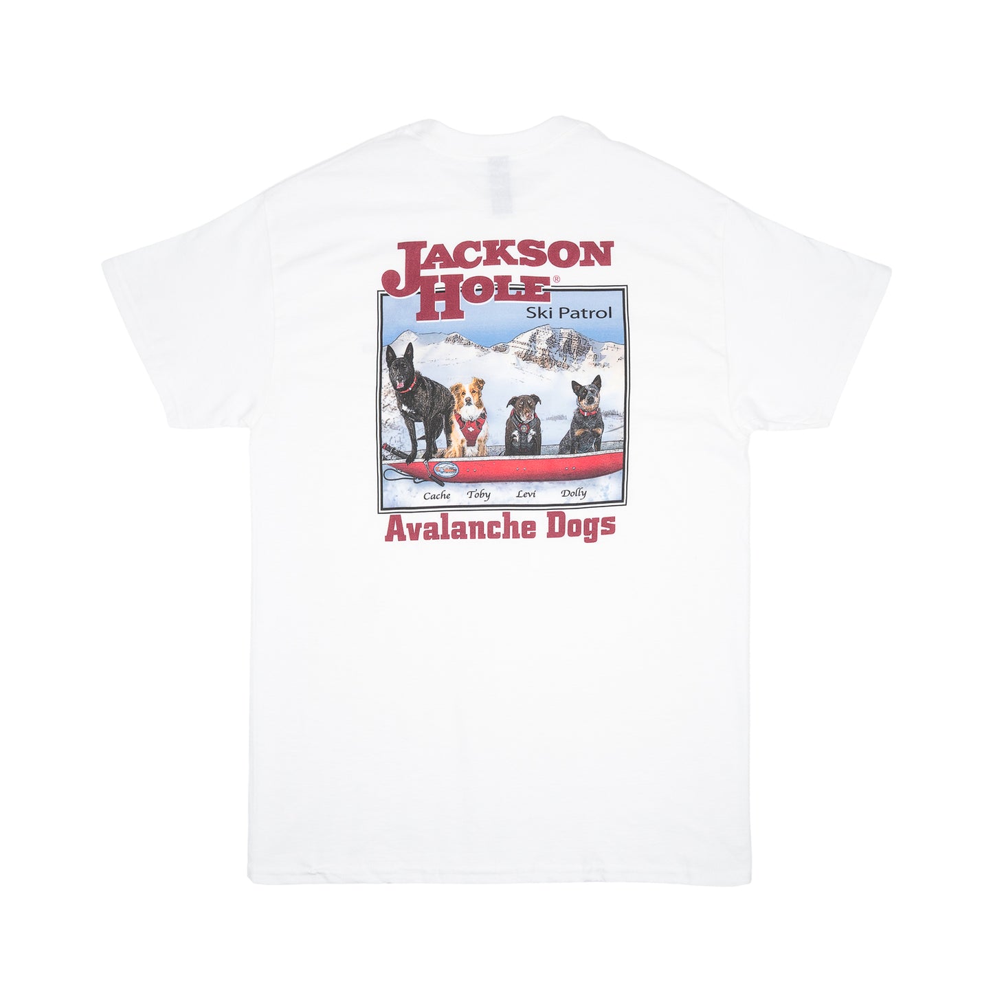 Avy Dog T-Shirt Short Sleeve